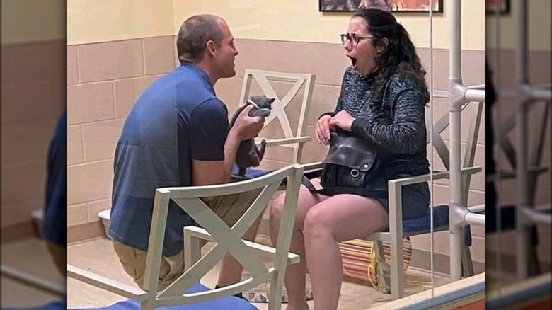 man proposes to woman with kitten