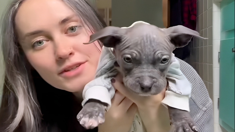 Woman holds up adorable puppy wearing pajamas
