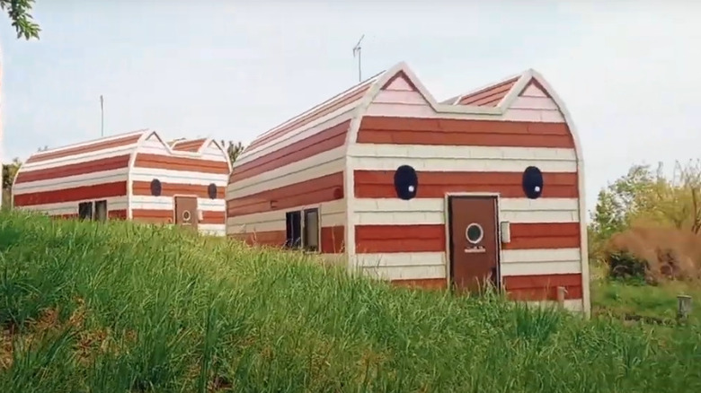 Cat-shaped cabins in Japan
