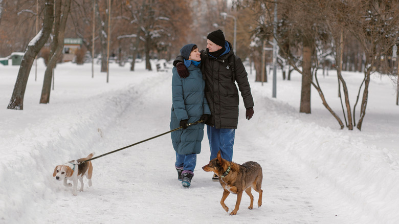 An affectionate man and woman walk with a beagle safely on a leash while a heeler walks off-leash