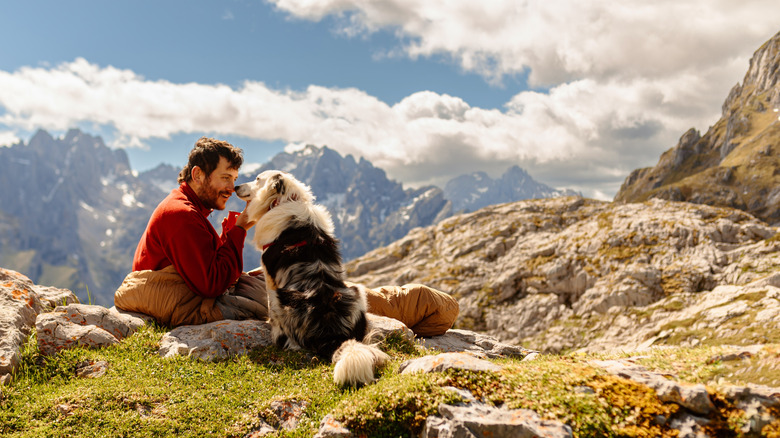 A man in a sleeping bag and a border collie in a mountain setting
