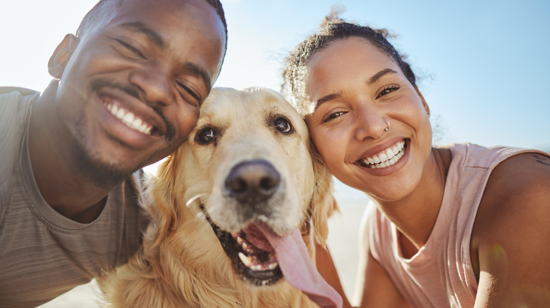 A man and a woman have their heads together with their golden retriever