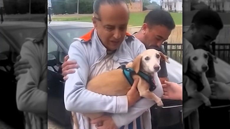 Bam Bam being reunited with his owner