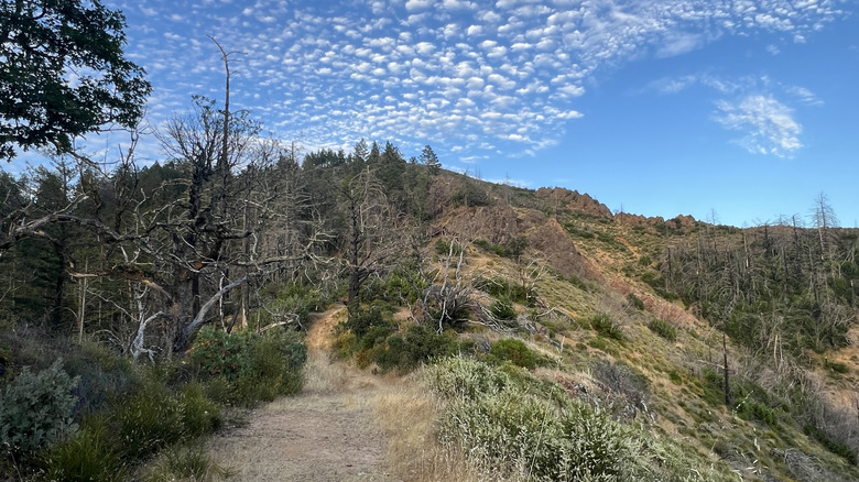 Landscape shot of Hood Park in Sonoma County, California