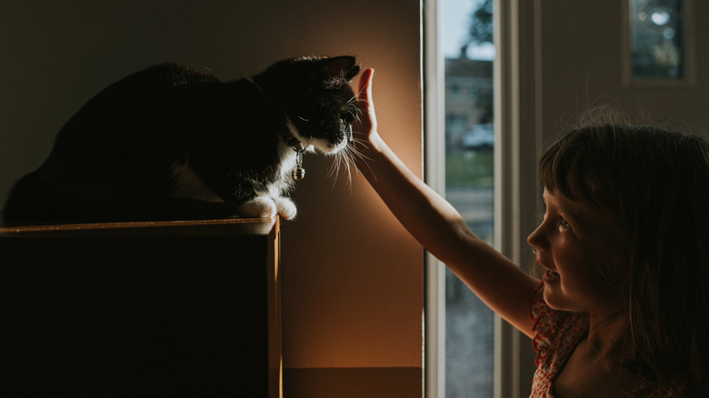 Young girl petting cat sitting on table in dim room