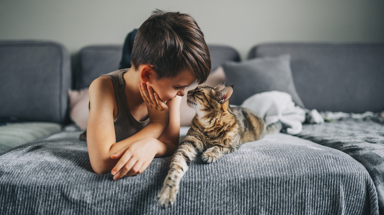 Boy and cat lying on sofa next to each other, nose to nose