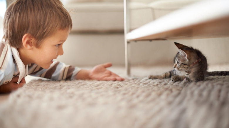 Boy extending hand to kitten hiding under table