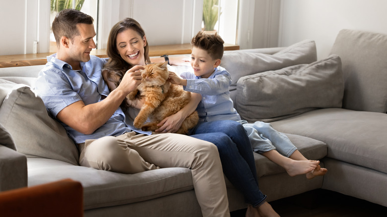 Mother, father, and young son sitting on sofa, petting cat