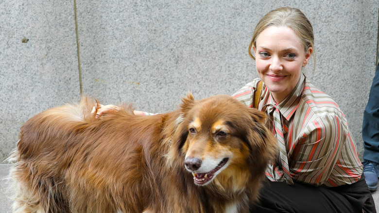 Amanda Seyfried and her dog Finn out on the street.