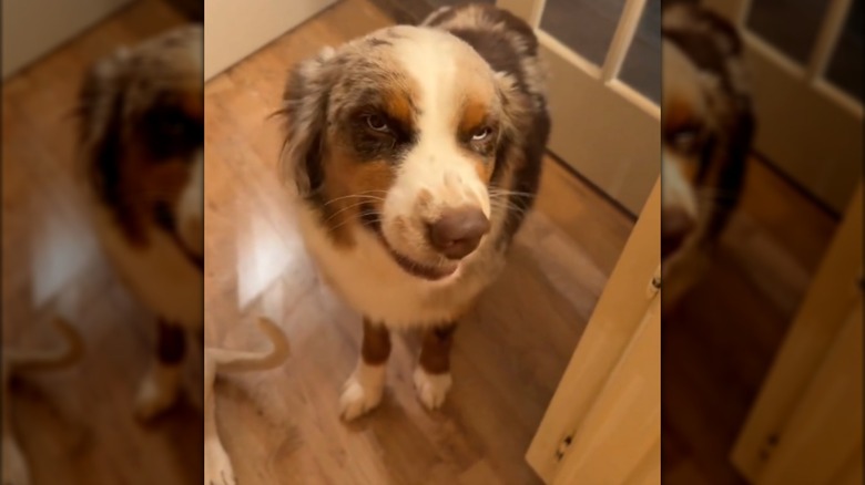 Hazel showing off her silly smile