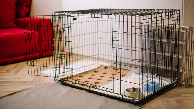 Wire dog crate set up in someone's home