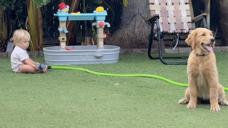 A golden retriever and a baby use a hose in the yard on Instagram.