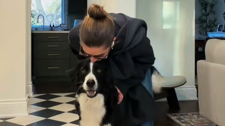 Woman with bun kisses the top of a Border collie-Bernese mix breed dog.