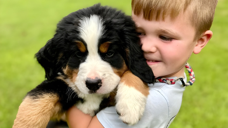Boy Gets Surprised With New Bernese Mountain Dog Puppy And They're Instant BFFs