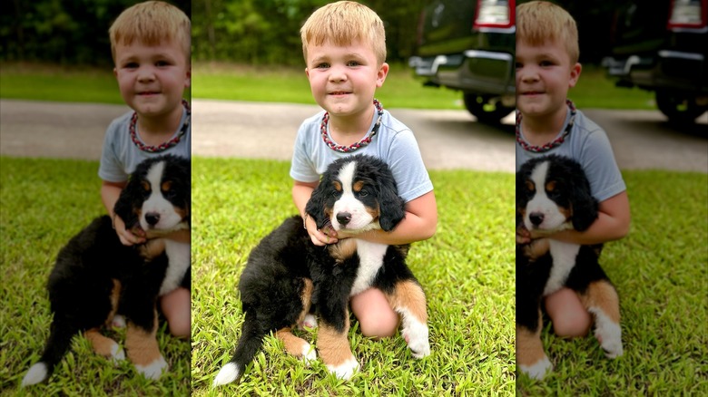 Boy cuddling Bernese mountain dog puppy