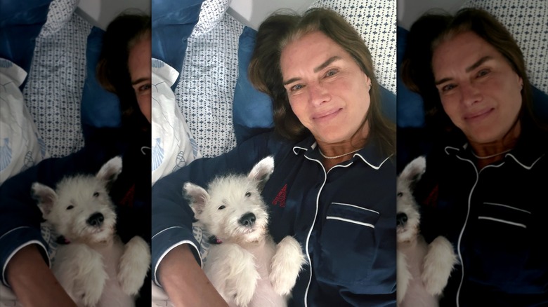 Brooke Shields holding her new rescue dog, Shippy
