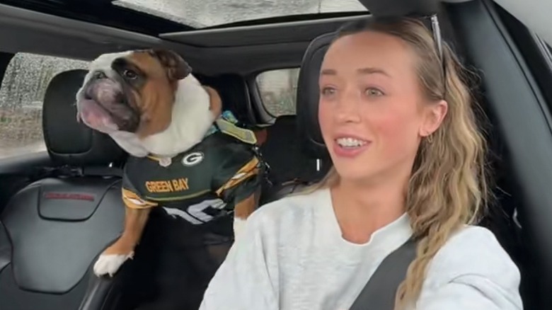 Bulldog in Green Bay Packers jersey barks in the back of a car as a blond woman in a grey sweatshirt drives.