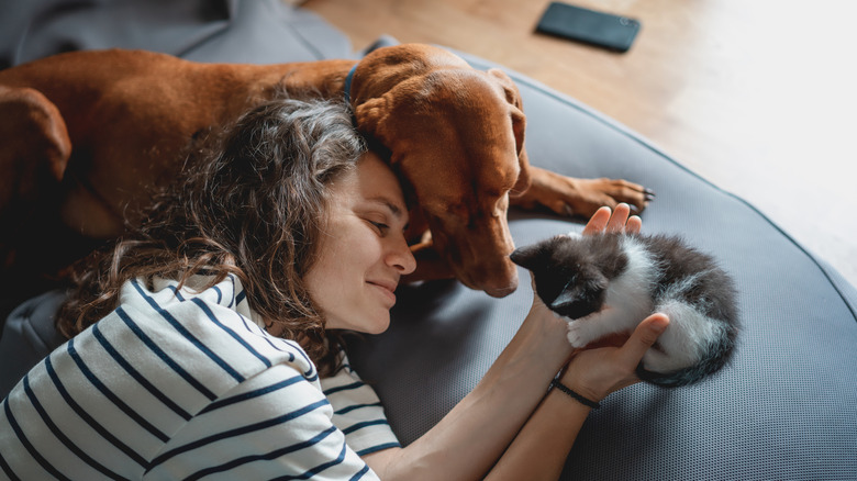 A woman who appears overjoyed lays with a dog and a kitten