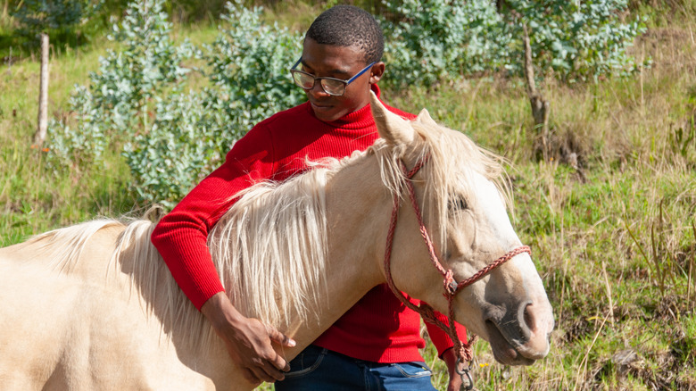 A young man hugging a white horse on bright day