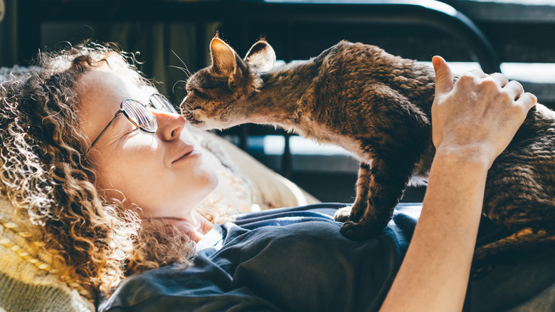 Woman with glasses lying down as cat walks on her chest and smells her nose