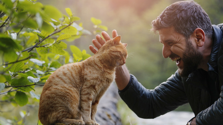 Smiling man petting content cat sitting on a log outdoors