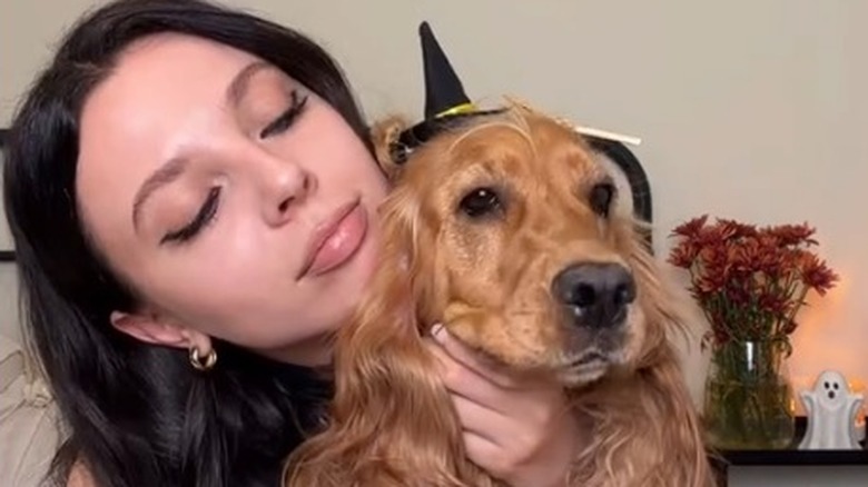 White woman holds English Cocker Spaniel in witch costume.