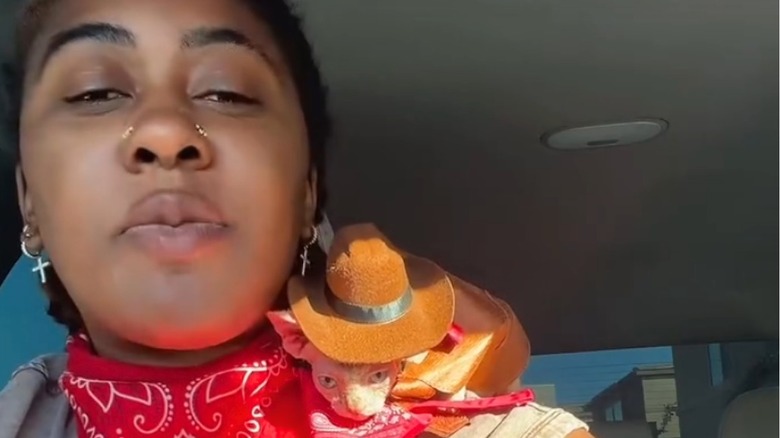Little sphynx in cowboy costume sits on Black persons shoulder in a car.