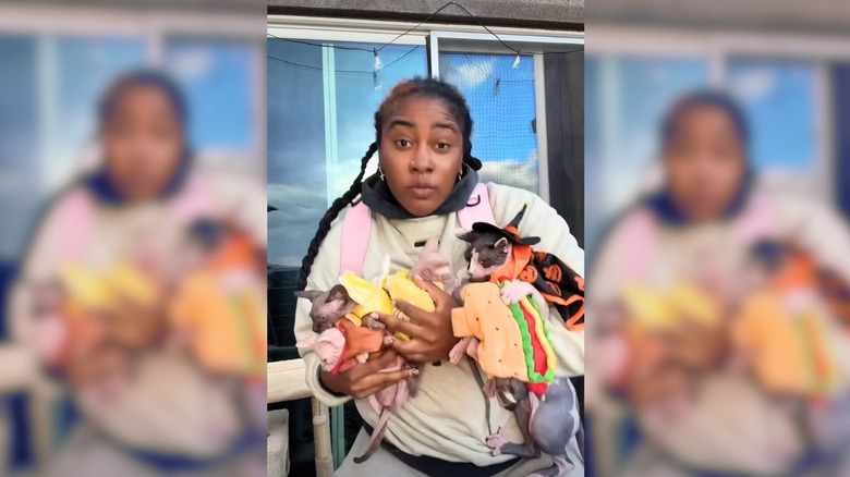Four little sphynx cats in Halloween costumes held by a Black person in sweats outside.