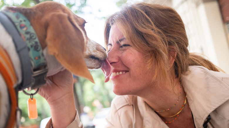 A dog licking a woman's face.