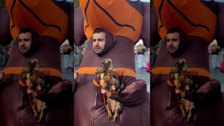 Man in an inflatable dog costume holds a dachshund
