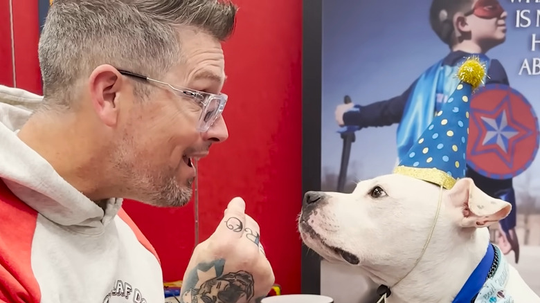 Deaf pit bull in a party hat watches his owner using sign language