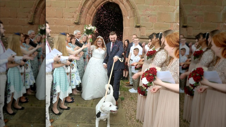 Newly married couple with dog, Bruno, as ring bearer