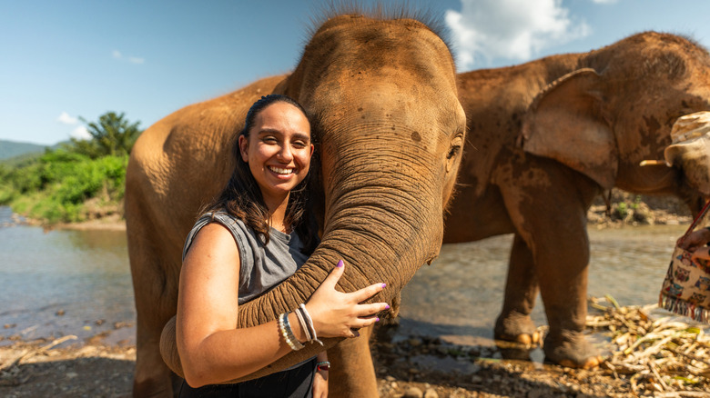 Young woman hugging trunk of mature elephant