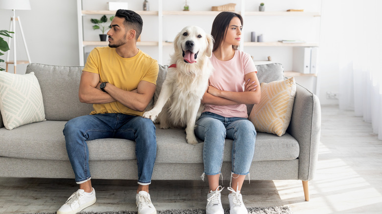 Happy dog sitting in between an unhappy man and woman with their arms crossed