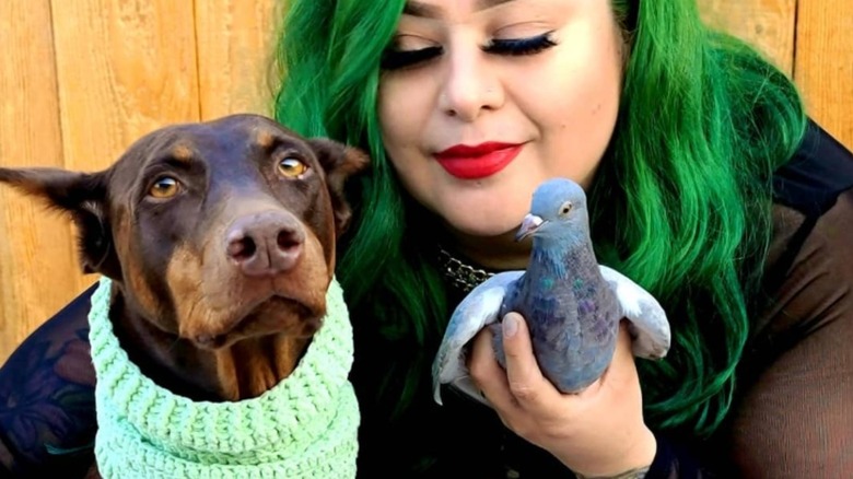 Doberman posing next to pigeon, held by woman