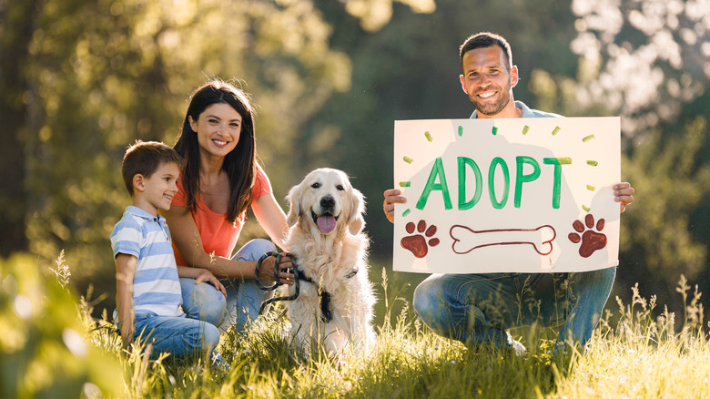 Family with golden retriever, man holding "Adopt" sign