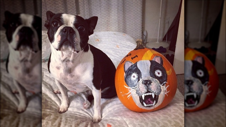 dog's face drawn on pumpkin