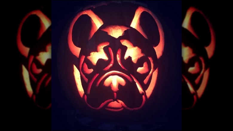 dog-o-lantern lit up with candle