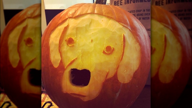 dog's face carved into pumpkin
