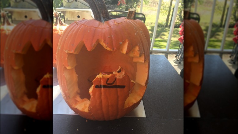 dog eats halloween pumpkin