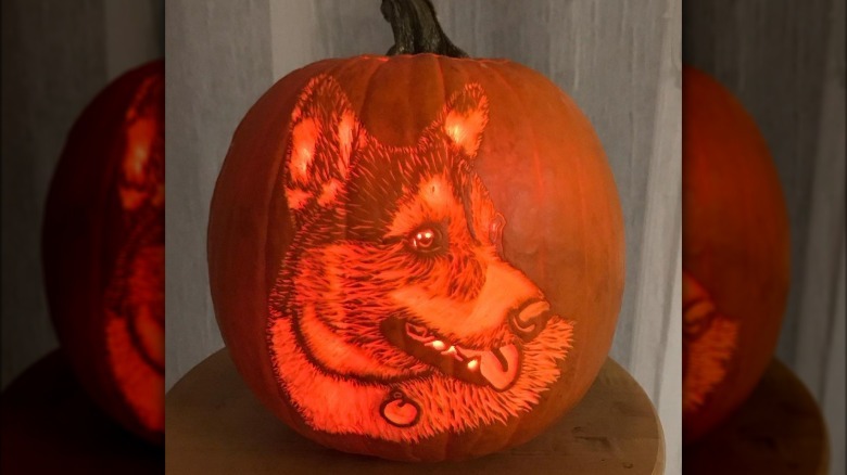 corgi's face carved into pumpkin