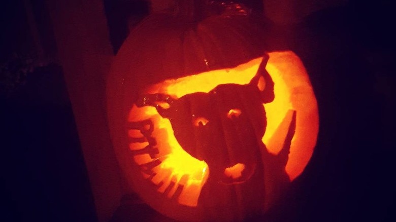 dog-o-lantern