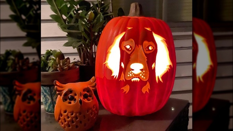 dog-o-lantern