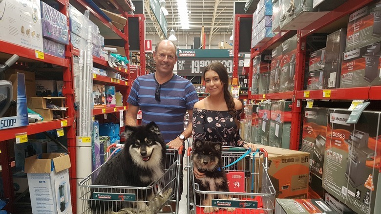 People are sharing pictures of dogs in shopping carts and we're soooo here for it