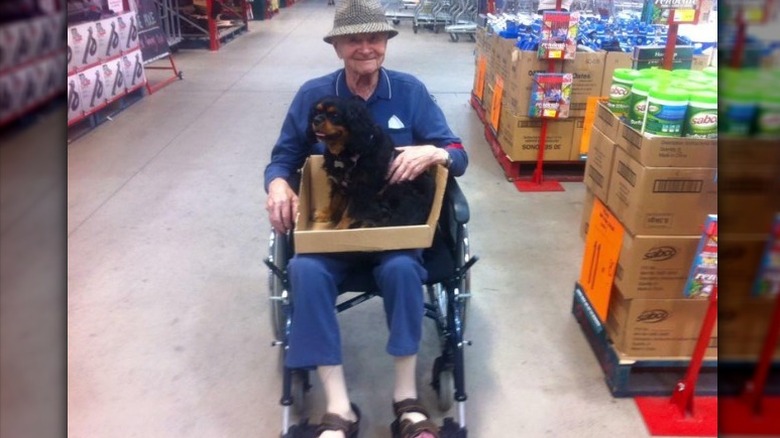 People are sharing pictures of dogs in shopping carts and we're soooo here for it