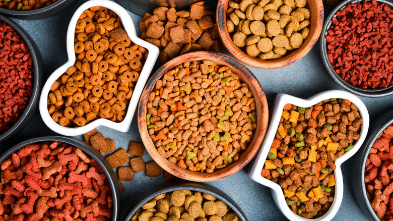 Various types of dry dog food in different bowls