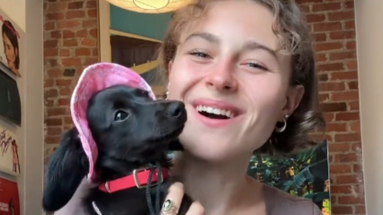 Mini dachshund fashion show on TikTok.
