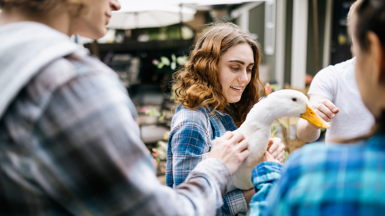 A group of young adults petting a duck held by a brown-haired woman.