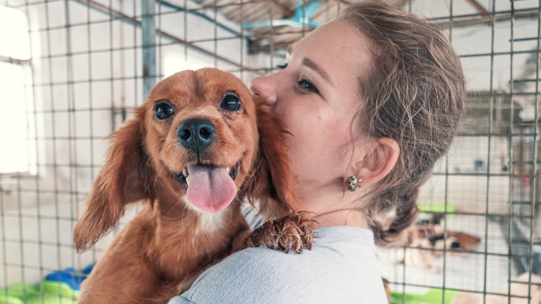 Woman holds mixed breed dog at an animal shelter.