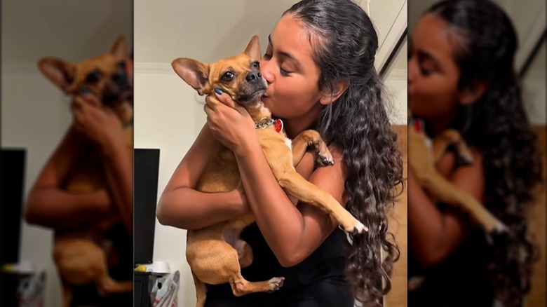 Woman holding Chihuahua, kissing him on cheek